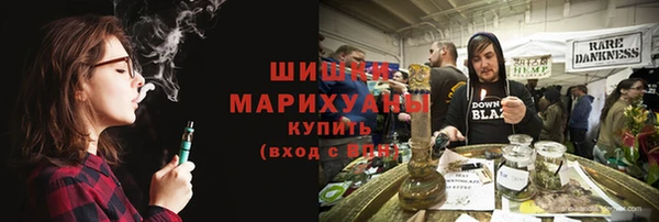 соль ск Снежинск