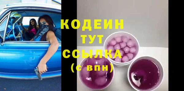 соль ск Снежинск