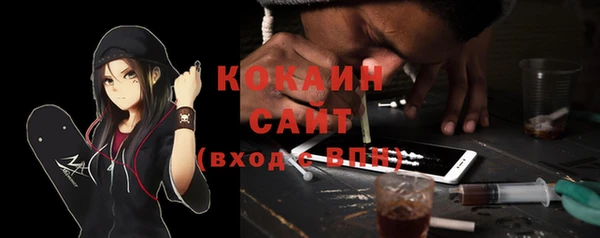 соль ск Снежинск