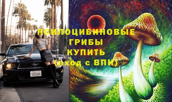 соль ск Снежинск