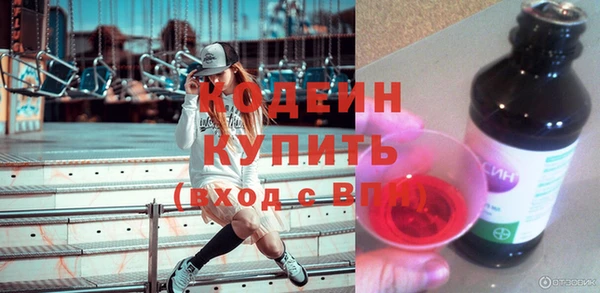 соль ск Снежинск